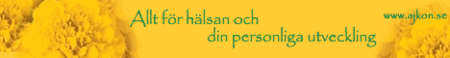 <p>En stor banner &auml;r 468 x 60 pixlar</p>